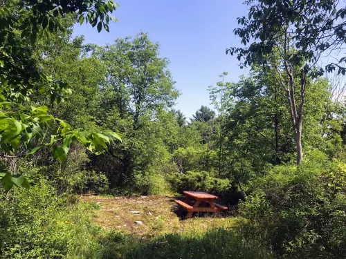 Dog-Friendly large rural Estate just outside Alex Bay with hot tub and pool!