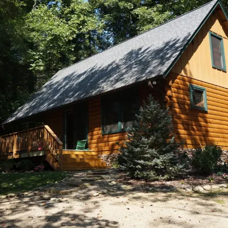 The Cozy Cabin In Black Mountain