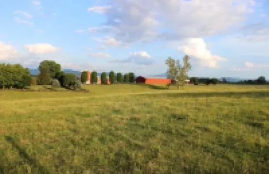 Historic Riverhouse w/ riverview!  Privacy and seclusion! Steps away from River!