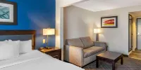Comfort Inn & Suites Grand Blanc-Flint - Chambre Roi Standard Avec Canapé-lit-fumé