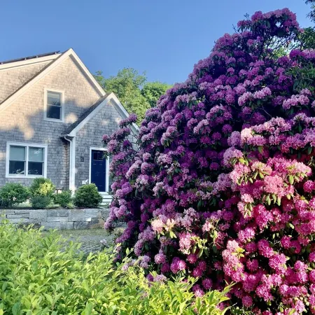 Newly built house, Central A/C, Walk to ferry, beach, and town