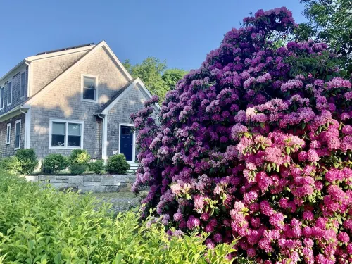 Newly built house, Central A/C, Walk to ferry, beach, and town Hotel a Tisbury