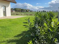 Dream thatched house with water view - 3 bedrooms - 10 min. walk to the beach Ξενοδοχεία στην πόλη Dranske