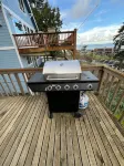 Charming, dog-friendly cabin in peaceful Birch Bay, Wa