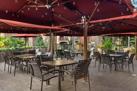 Club Wyndham Bonnet Creek Отели рядом с достопримечательностью «Characters in Flight»