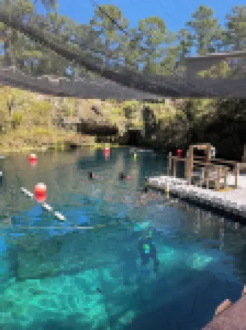 NEW! ZEN! RELAX! KAYAKS, FISHING POLES, DOCK! NEAR BIKE TRAIL, SPRINGS, & BEACH!