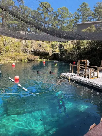 NEW! ZEN! RELAX! KAYAKS, FISHING POLES, DOCK! NEAR BIKE TRAIL, SPRINGS, & BEACH!