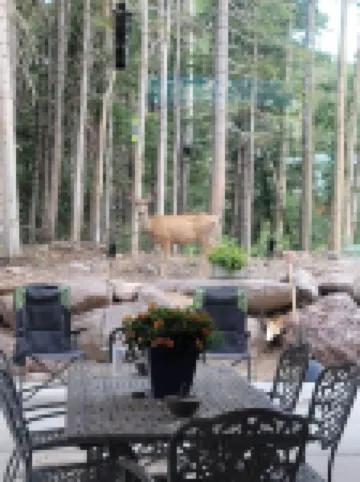 Custom Newly Discounted Condo. Minutes from Ski Slopes, Restaurant & Shopping.