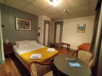 호텔 드 사부아 안시 안시 호텔