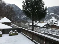 Historic Hotel Steinbock - Mountain view