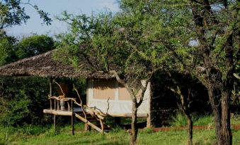 Mbalageti Serengeti