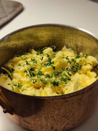 Kristianopel Gastgifveri