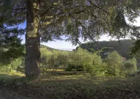 Albergo Serena - Hotel a Vezzano Ligure