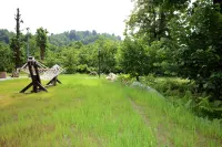 Vice's Konağı Hotels in Findikli