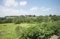 Host Stay Tregaer Mill Barn