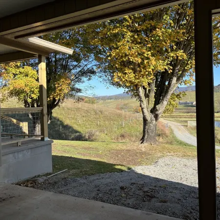 The Sheepfold: Remodeled cottage and 6 stall horse barn on working farm!