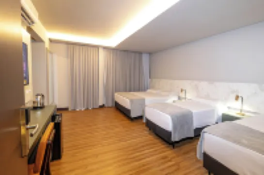 イングレセス パーク ホテル