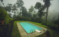 After the Rains - Rainforest Lodge - 3-Star