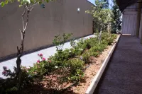 호텔 하바나 익스프레스