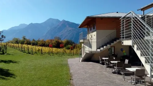 Agritur Ponte Alto - pet friendly