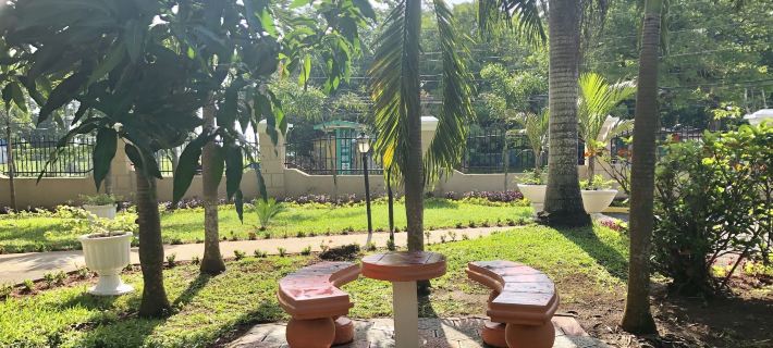 Gold Nugget Hotel Hotels in Negril