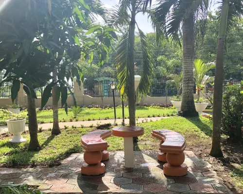 Gold Nugget Hotel Hotels in Negril