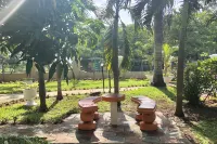 Gold Nugget Hotel Hotels in Negril