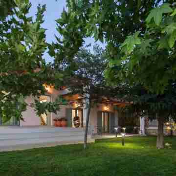 Aneli Villas - Villa Elissavet Hotel Exterior