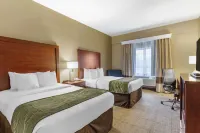 Comfort Inn Aikens Center Hôtels à : Martinsburg