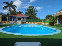 Rum Runners Resort