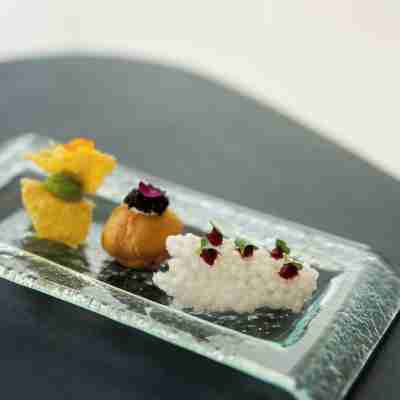 Color Hotel Style, Design & Gourmet Dining/Meeting Rooms
