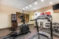 Comfort Suites Jackson I-40 - نادي رياضي