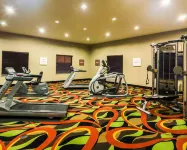 Spark by Hilton Amarillo Western Plaza - Phòng tập thể hình