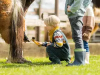 Schloss Hertefeld – Hotel & Events Hotels in Weeze