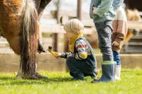 Schloss Hertefeld & Hertefeldhof Hotels in Weeze