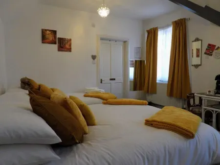 Kings Arms Hotel Отели в г. Holsworthy