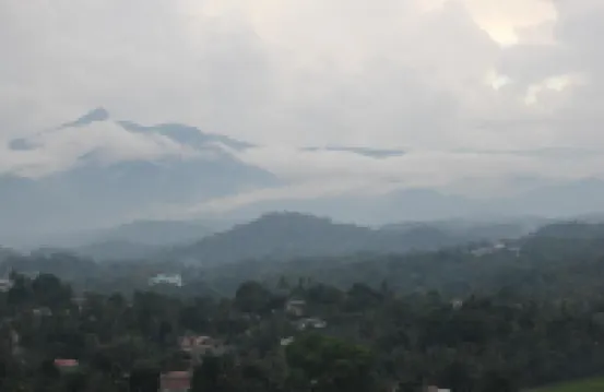 Mount View 11