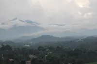Mount View 11
