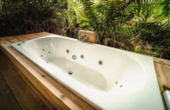 Franz Josef Treetops - spa