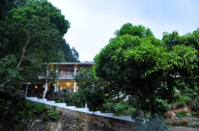 Forest Edge Hotel