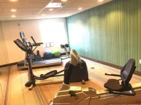 Holiday Inn Express VENICE by IHG - Træningscentre