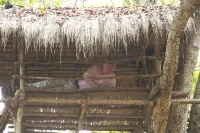 Explorer by Eco Team - Dambana