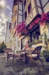 Zinos Hotel Hotels in Sinop