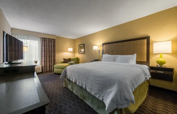 希爾頓歡朋酒店-梅里迪恩