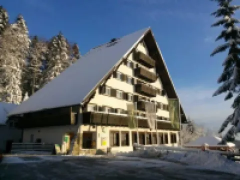 Hotel Tisa Pohorje Hotels in Maribor
