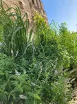 Corte Baracca B&B Suite Hotels near F.lli De Blasi S.r.l.