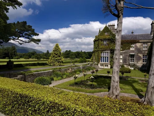 Ardree House B&B - B&Bs (Bed and breakfast)