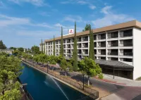 Hilton Stockton - Frühstück