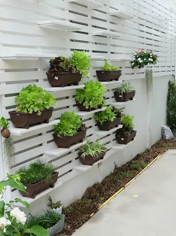 รูปภาพของNoble Baan Pastel Boutique Hotel @ChiangMai (โนเบิ้ล บ้านพาสเทล)