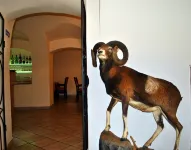 Hotel Przy Oślej Bramie - Zamek Książ Hotel a Walbrzych